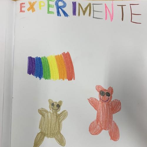 Experimente