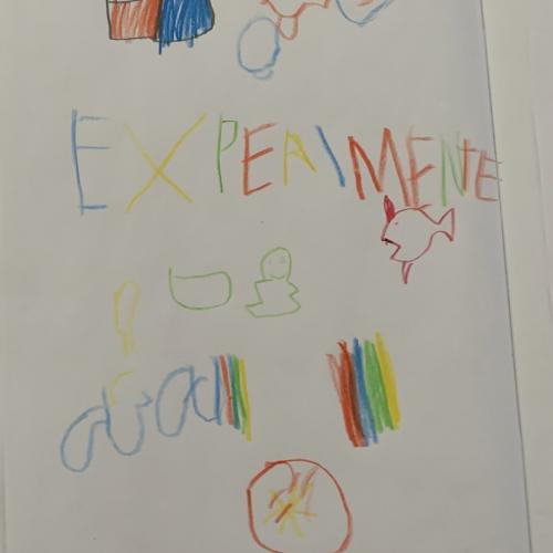Experimente